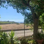 Il Sole פרגליה