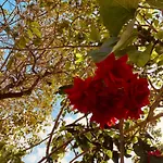 דירה Il Sole
