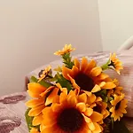 דירה Il Sole