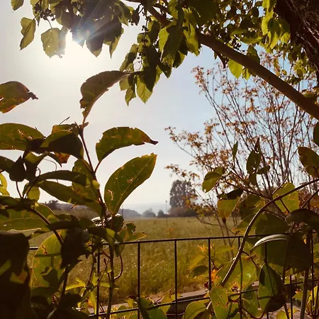 Il Sole
