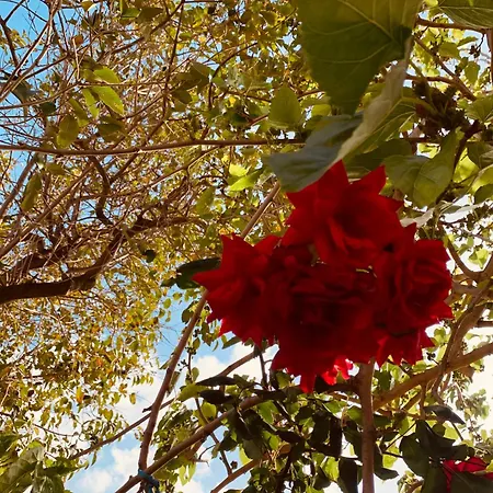 Appartamento Il Sole