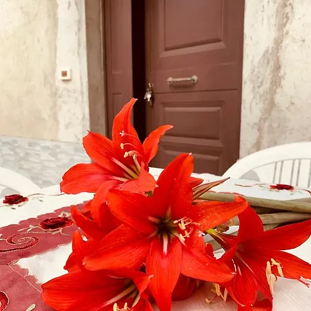 Appartamento Il Sole *