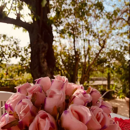 Apartment Il Sole Parghelia