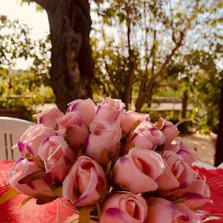 Apartament Il Sole Parghelia