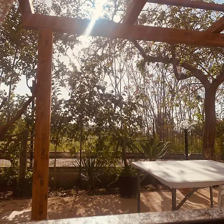 Apartment Il Sole Parghelia