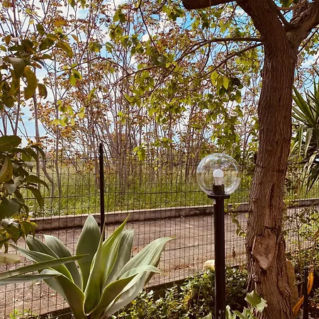 Il Sole Apartament Parghelia