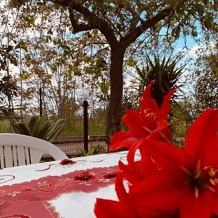 Apartamento Il Sole Parghelia