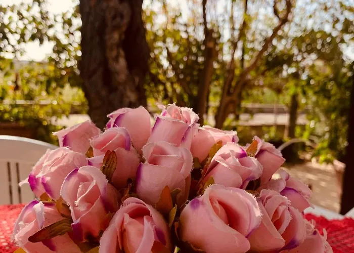 アパート Il Sole パルゲリーア