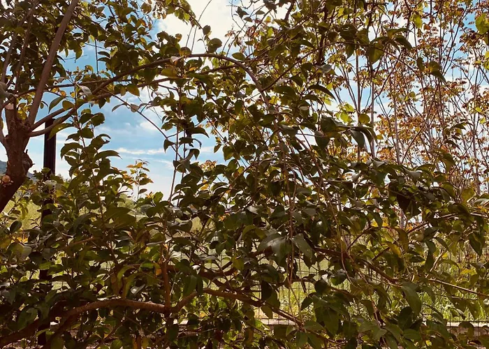 Appartement Il Sole *