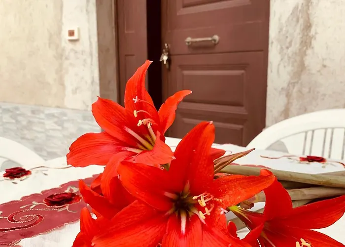 アパート Il Sole *